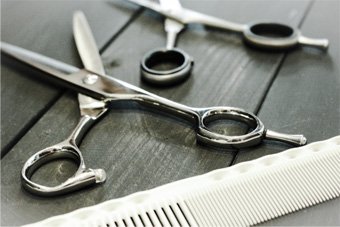 美容学校への入学、学費の一部補助、立替制度